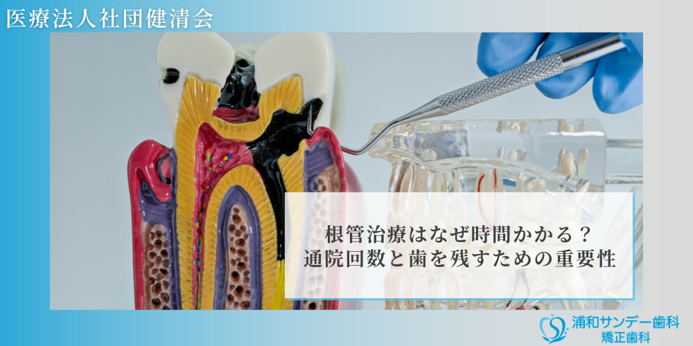 根管治療はなぜ時間かかる?通院回数と歯を残すための重要性
